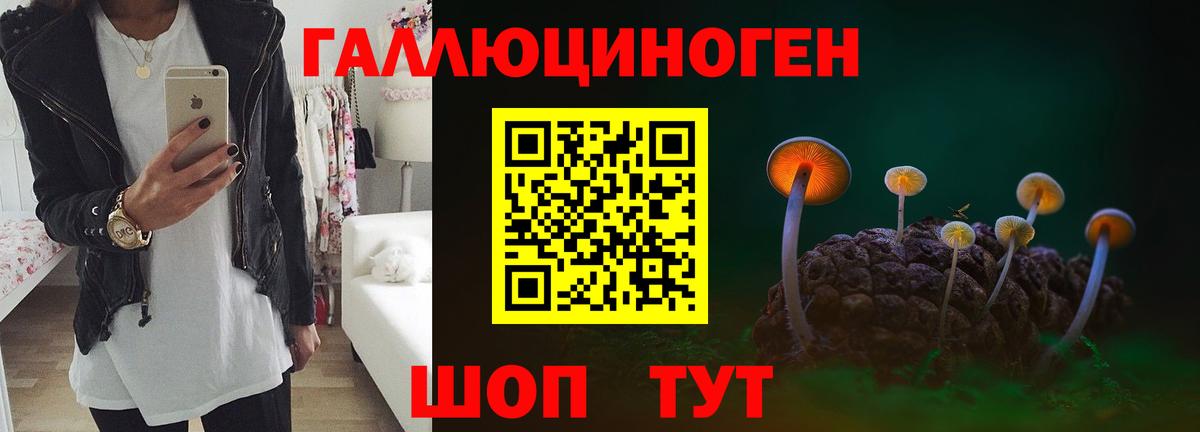 Ипатово  Галлюциногенные грибы Magic Shrooms  Вход с VPN 